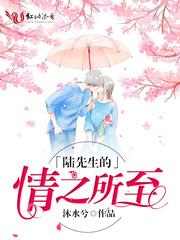 陆先生的情之所至免费全文 陆先生的情之所至免费全文