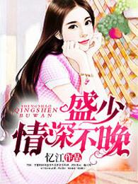 盛少情深不晚