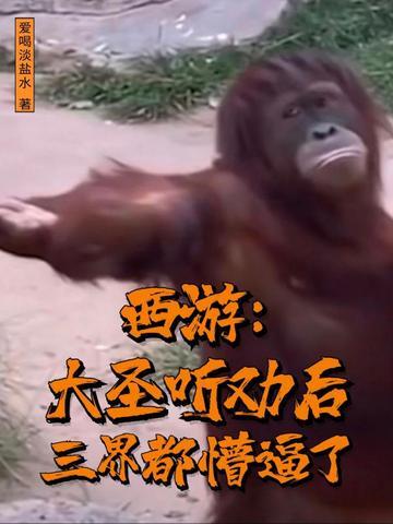 西游记喊大圣片段