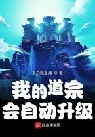 我的道宗会自动升级起点 我的道宗会自动升级起点